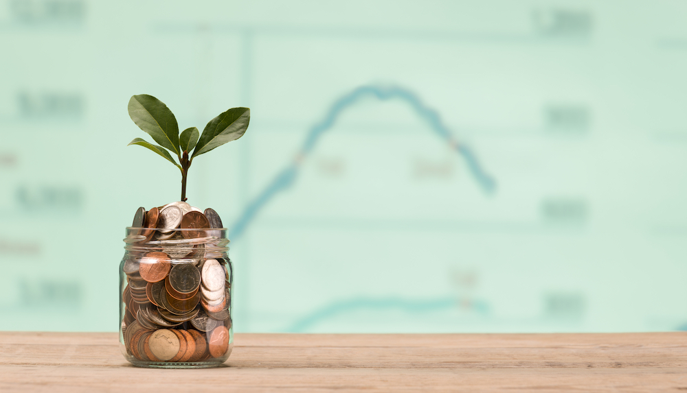 Coins in a jar with a plant growing out of it