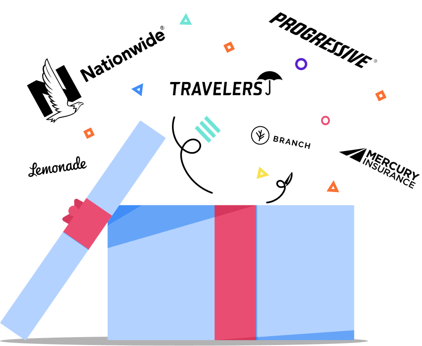 illustration of matic's carrier network