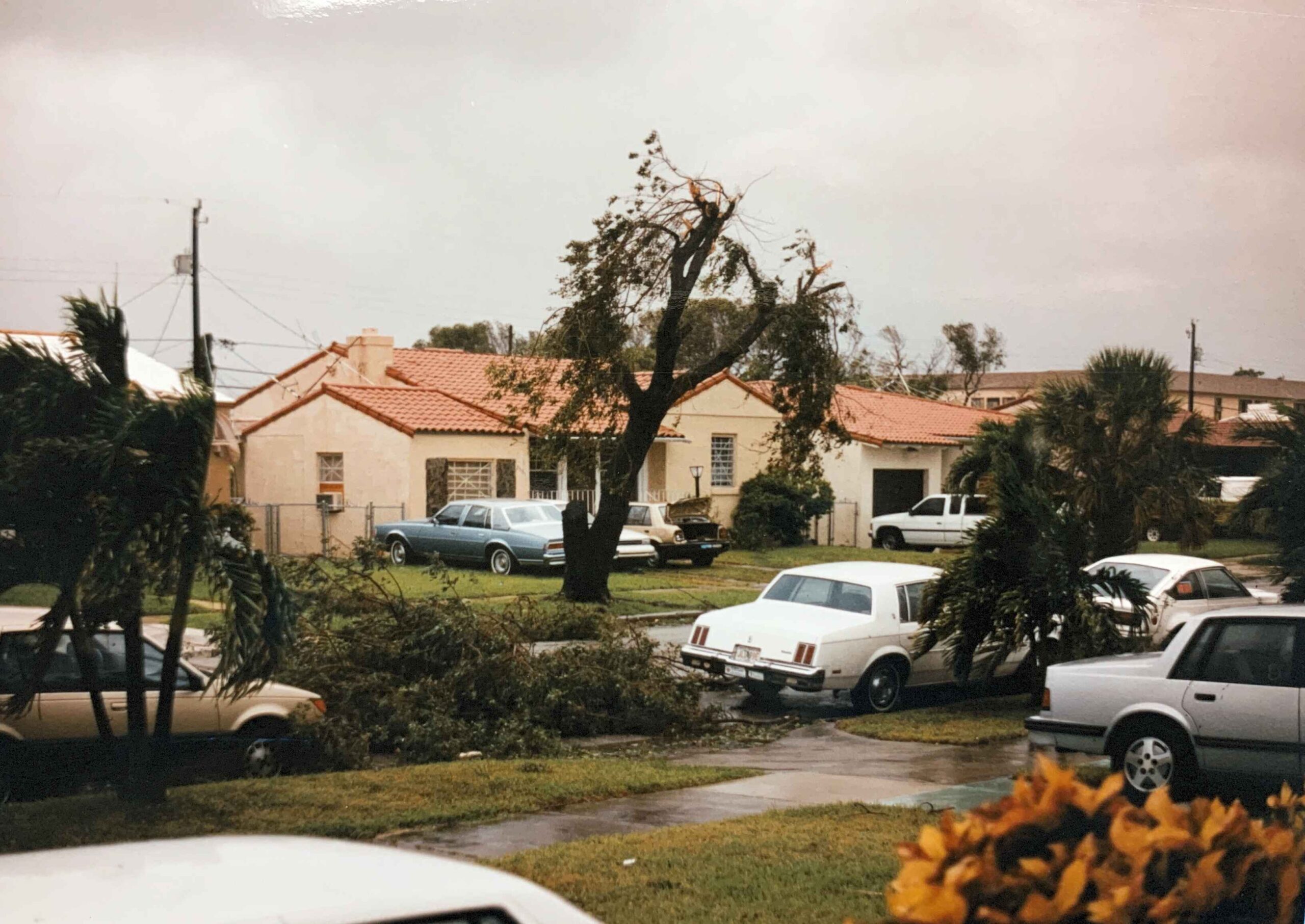 storm damage to property