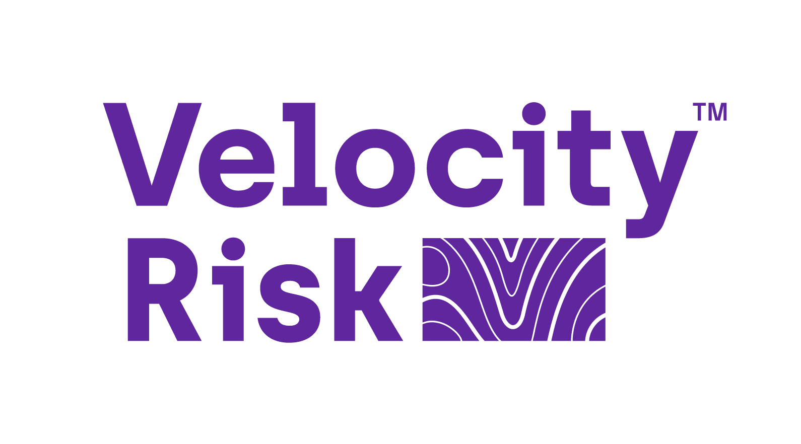 velocity risk logo